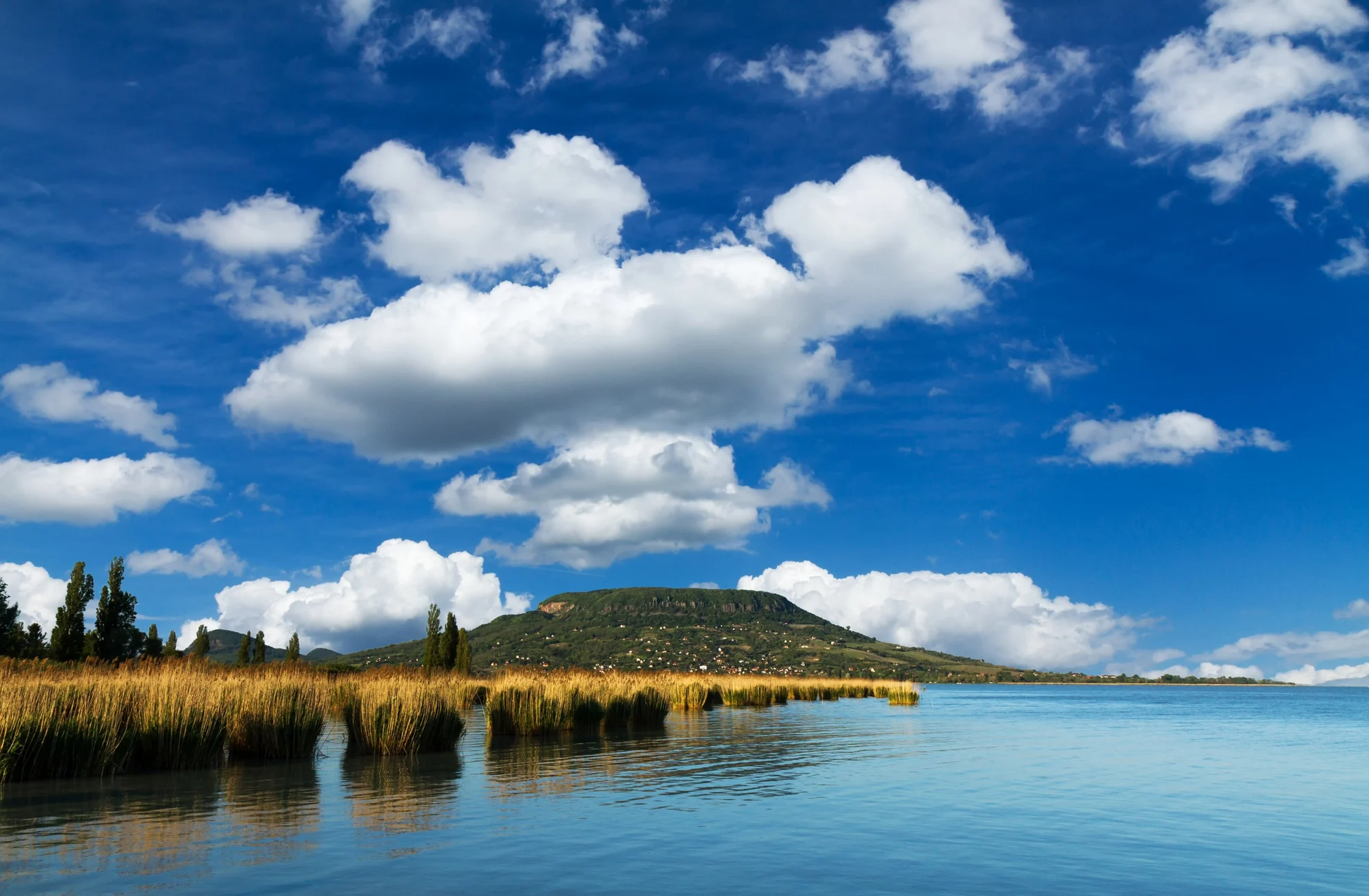 Balaton und Badacsony
