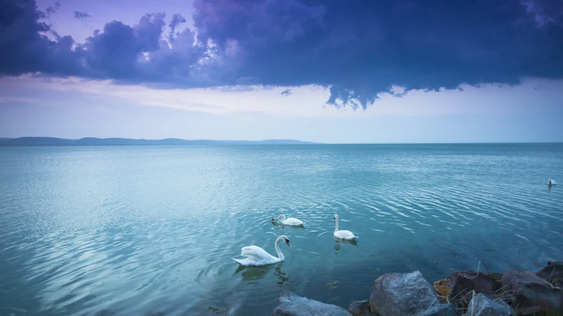 Am Wasser